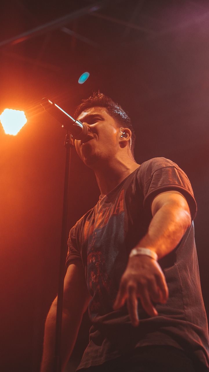 Services concert, guitar, singer, stage, music, musician, live, event, festival, performance