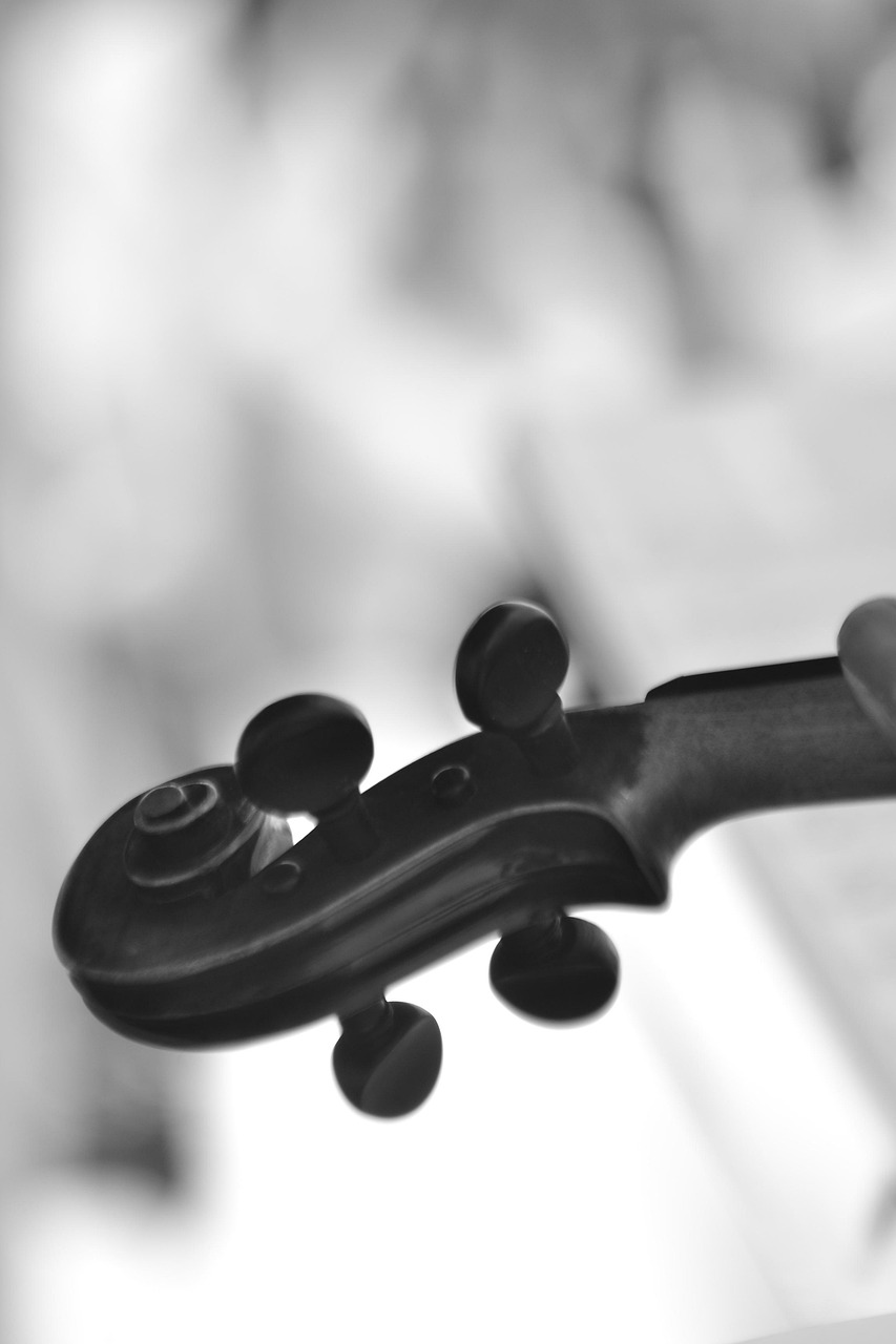 music, event, ropes, sound, musician, instruments, profile, fiddle, string